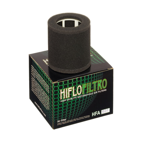 HIFLO FILTRO Air Filter HFA2501