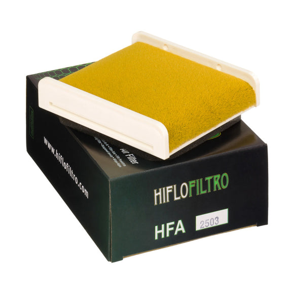 HIFLO FILTRO Air Filter HFA2503