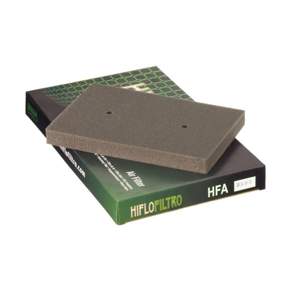 HIFLO FILTRO Air Filter HFA2505