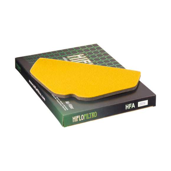 HIFLO FILTRO Air Filter HFA2909